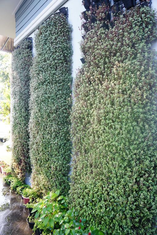 The Rhea Otel Udon Thani Dış mekan fotoğraf